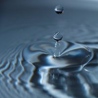 pexels-jaspert-anrijs-1903120049-28704570